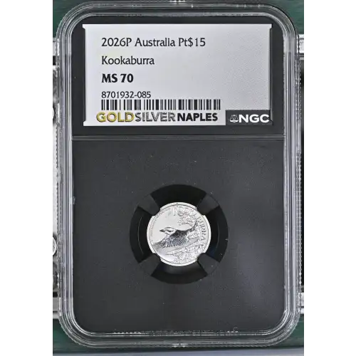 2026P Kookaburra (2)