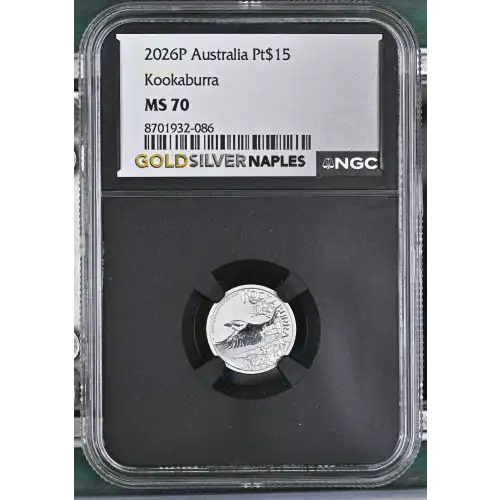 2026P Kookaburra (2)
