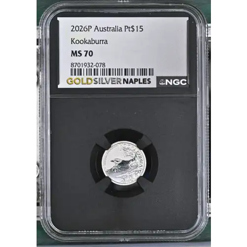 2026P Kookaburra (2)