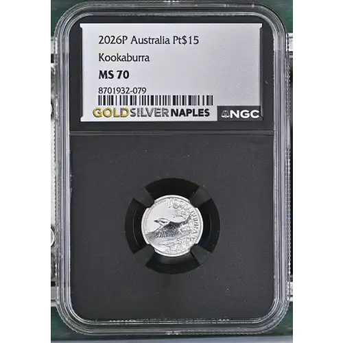 2026P Kookaburra (2)