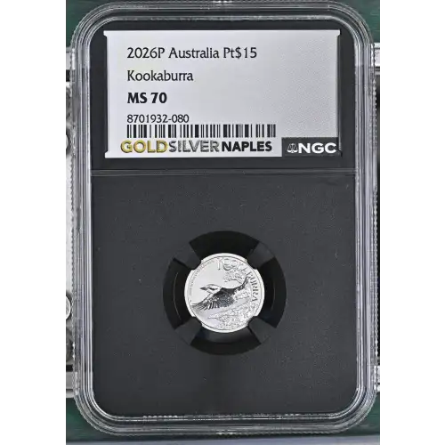 2026P Kookaburra (2)