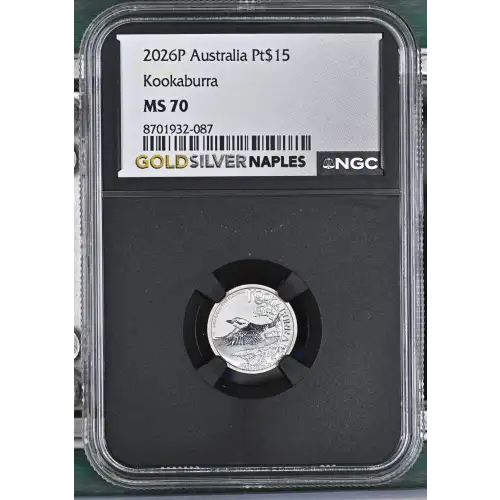2026P Kookaburra (2)