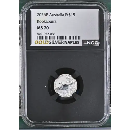 2026P Kookaburra (2)