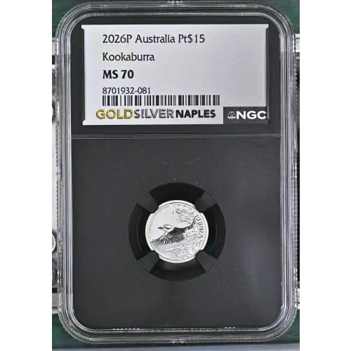 2026P Kookaburra (2)