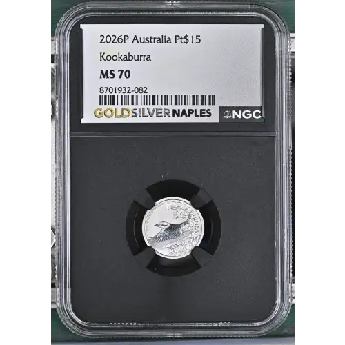2026P Kookaburra (2)