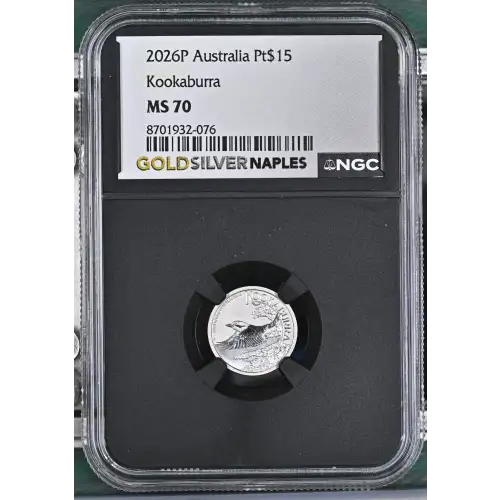 2026P Kookaburra (2)