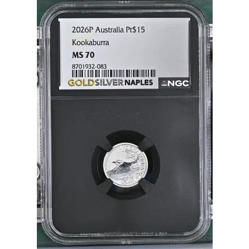 2026P Kookaburra (2)