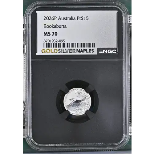 2026P Kookaburra (2)