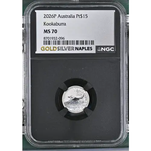 2026P Kookaburra (2)
