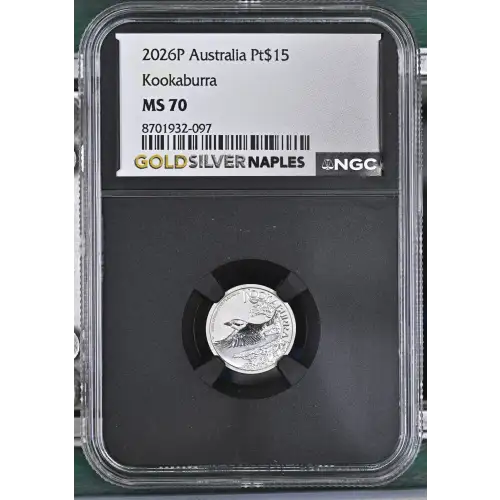 2026P Kookaburra (2)
