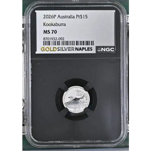 2026P Kookaburra (2)