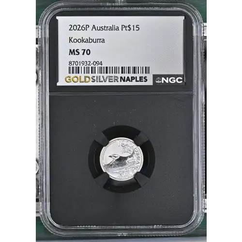 2026P Kookaburra (2)