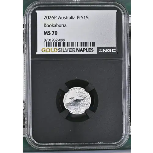 2026P Kookaburra (2)