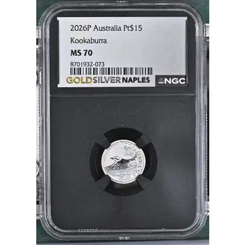 2026P Kookaburra (2)