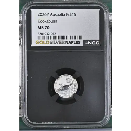 2026P Kookaburra (2)