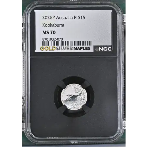 2026P Kookaburra (2)