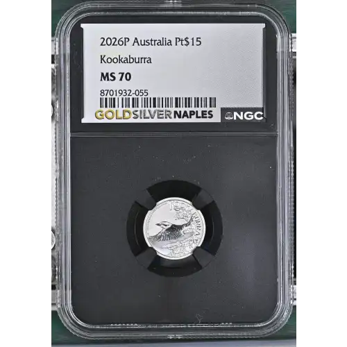 2026P Kookaburra (2)