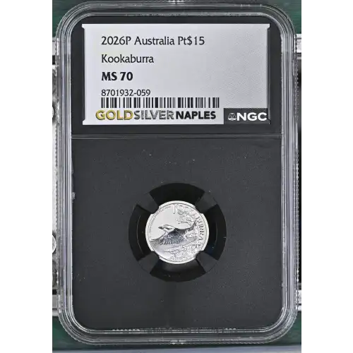 2026P Kookaburra (2)