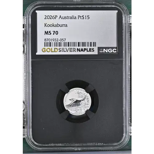 2026P Kookaburra (2)