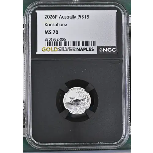2026P Kookaburra (2)