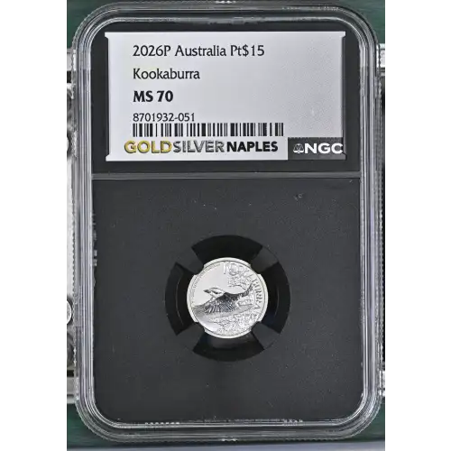 2026P Kookaburra (2)