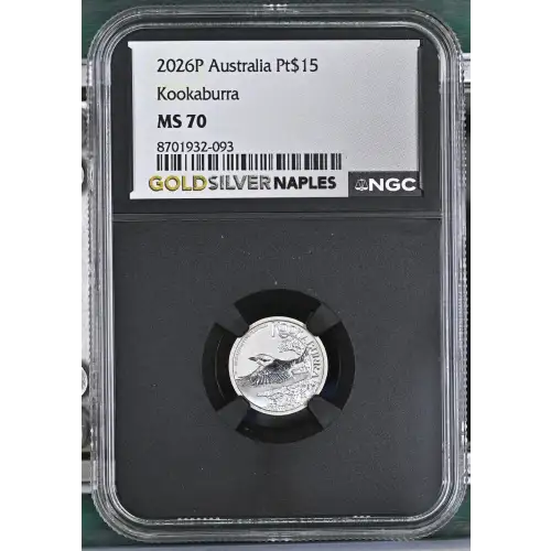 2026P Kookaburra (2)