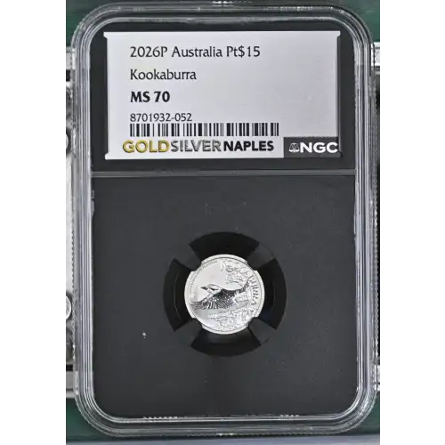 2026P Kookaburra (2)