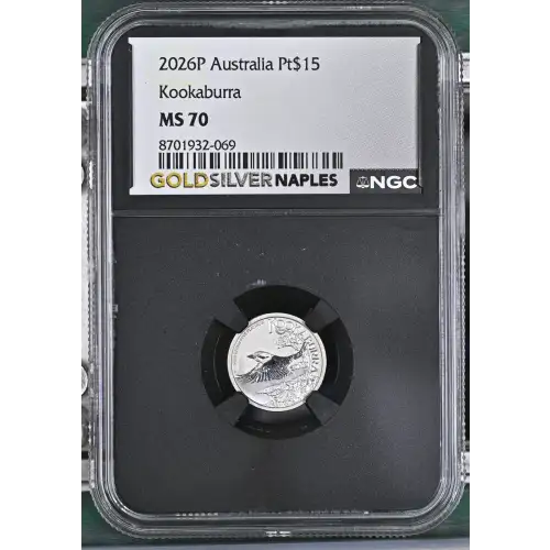 2026P Kookaburra (2)