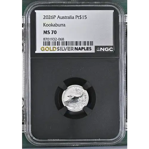 2026P Kookaburra (2)