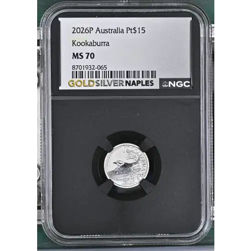 2026P Kookaburra (2)