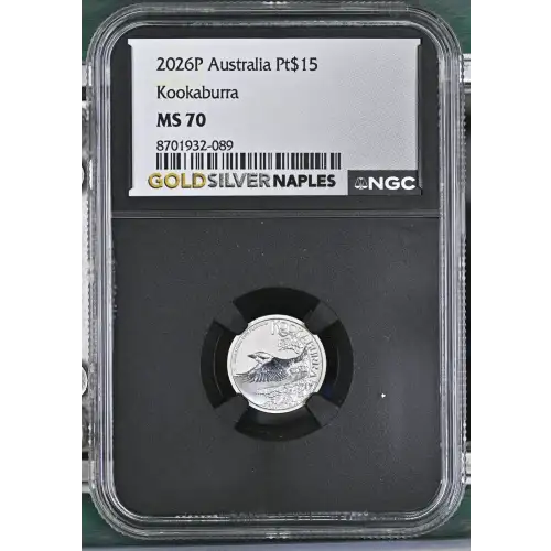 2026P Kookaburra (2)