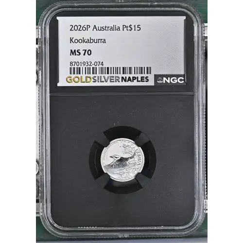 2026P Kookaburra (2)