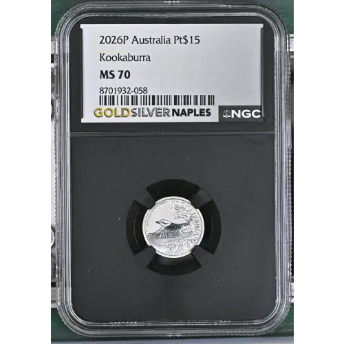 2026P Kookaburra (2)