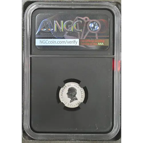 2026P Kookaburra (3)