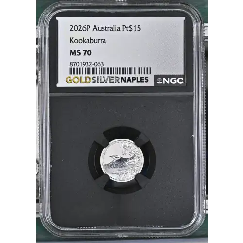 2026P Kookaburra (2)