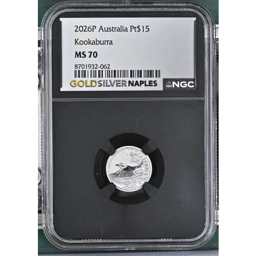 2026P Kookaburra (2)