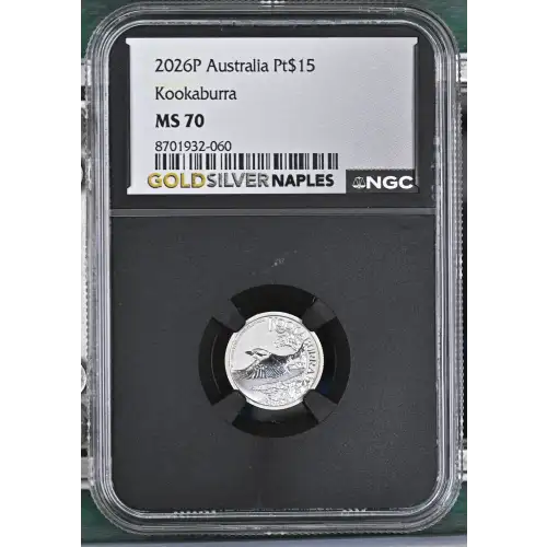 2026P Kookaburra (2)