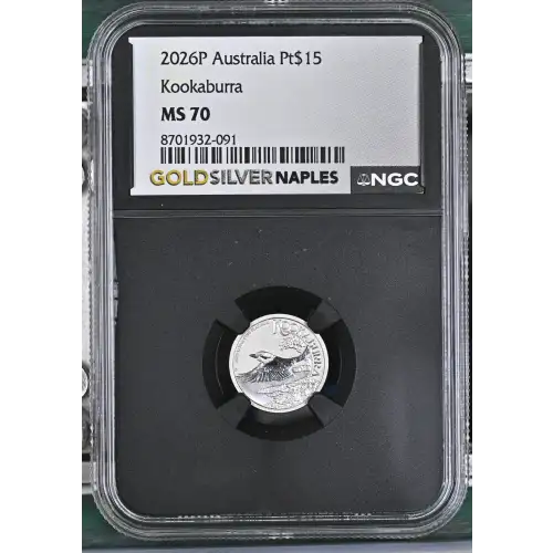 2026P Kookaburra (2)