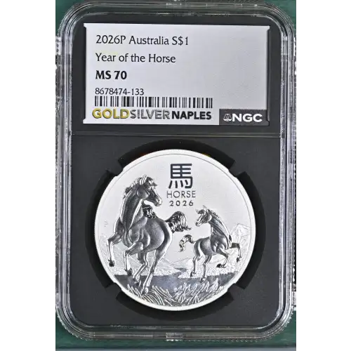 2026P Year of the Horse (2)