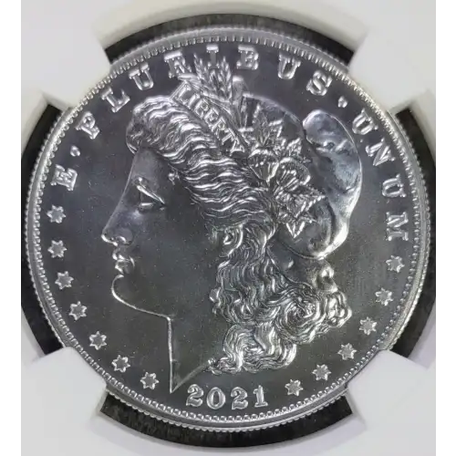 Morgan Silver Dollar