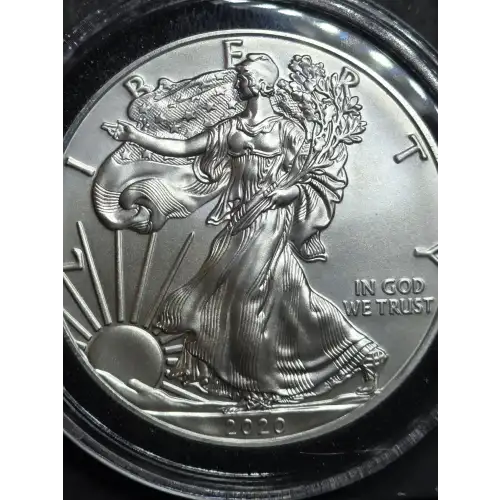 Silver Eagles