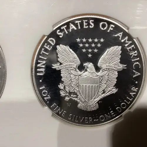 Silver Eagles