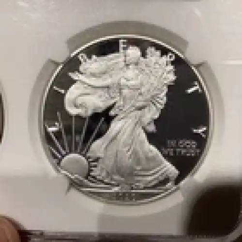 Silver Eagles