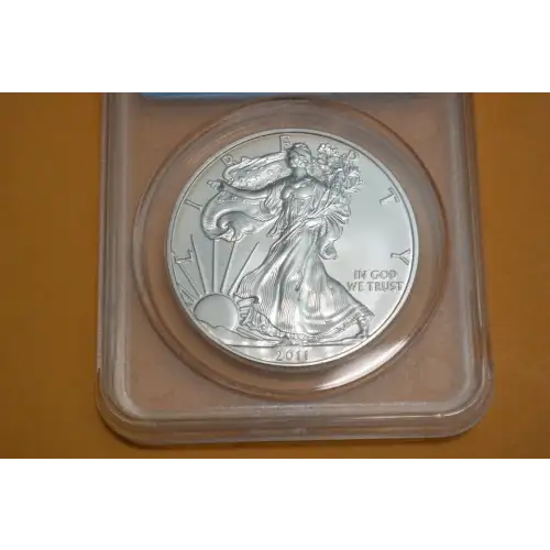 Silver Eagles