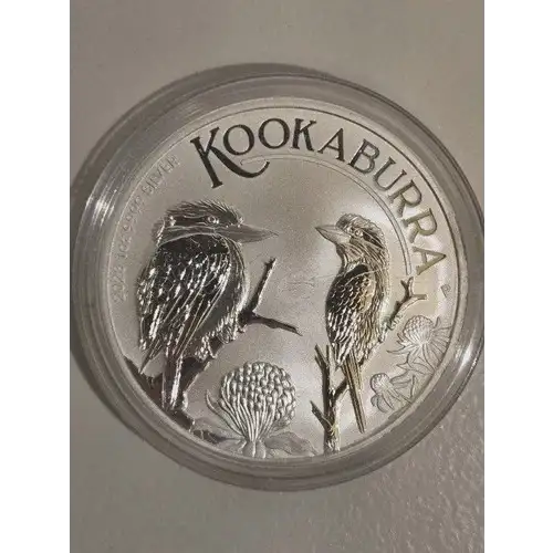 Silver Eagles