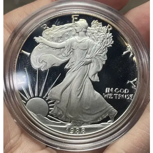 Silver Eagles