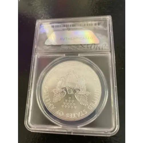 Silver Eagles (2)