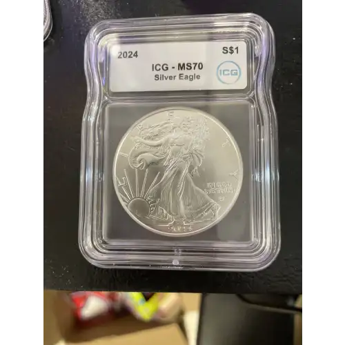 Silver Eagles