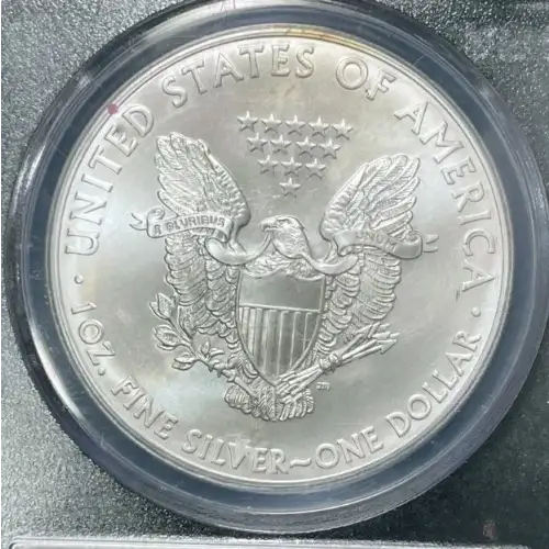 Silver Eagles