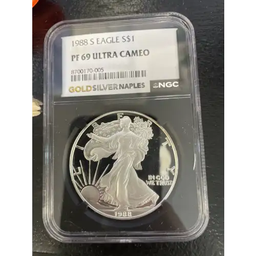 Silver Eagles
